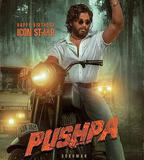 普什帕：崛起-第1部分