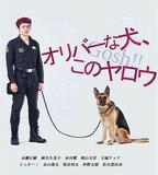 奧莉佛是狗，（天哪！！）這傢伙