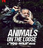 你的荒野求生電影版：出逃的野獸