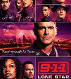 緊急呼救：孤星 第二季