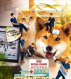 小主安康-寵物醫院3