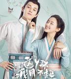 這丫環我用不起