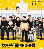 烏龜的殼其實是肋骨