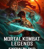 真人快打傳奇：雪盲