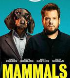 哺乳動物 第一季