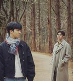 致我的星星 第二季