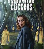 米德威奇布穀鳥