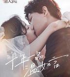 十年一品溫如言