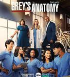 實習醫生格蕾 第十九季