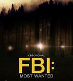 聯邦調查局：通緝要犯 第四季