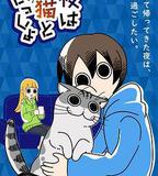 關於養貓我一直是新手