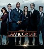 法律與秩序 第二十二季