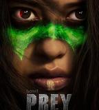 鐵血戰士：狩獵