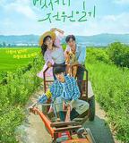 偶然的田園日記