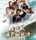 雪蓮花盛開的地方