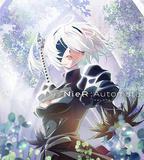 尼爾：自動人形 Ver1.1a