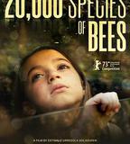 兩萬種蜜蜂