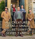 萬物生靈 第四季