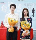 套路先生請指示