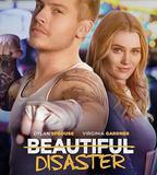 美麗的災難