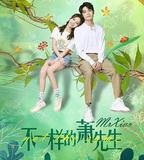 不一樣的蕭先生