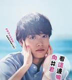 往這邊看 向井君