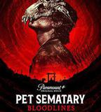 寵物墳場：血源