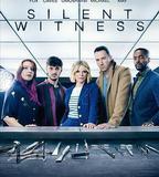 無聲的證言 第二十七季