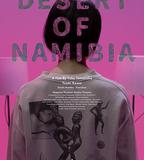 納米比亞的沙漠