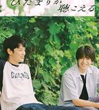 向陽之處必有聲