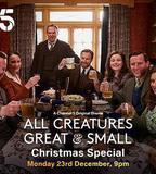 萬物生靈：2024聖誕特別集