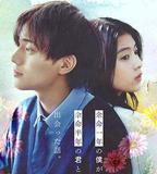 餘生一年的我，遇見了的餘生半年的你的故事