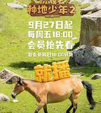 你好，種地少年2