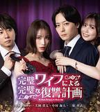 完美妻子的完美復仇計劃