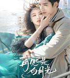 再見已是白月光