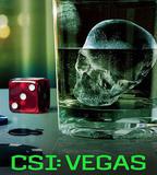 犯罪現場調查：維加斯 第三季