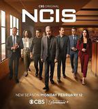 海軍罪案調查處 第二十一季