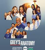 實習醫生格蕾 第二十季