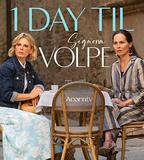 狐狸女士 第二季