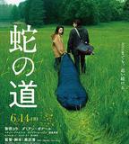 蛇之道