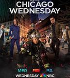 芝加哥急救 第十季