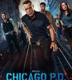 芝加哥警署 第十二季