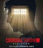 犯罪心理：演變 第十七季