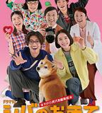 柴犬的規矩～我們這羣狗癡編輯部～