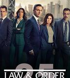法律與秩序 第二十五季
