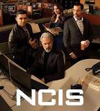 海軍罪案調查處 第二十三季