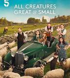 萬物生靈 第六季