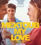 宿命，吾愛：第二部