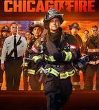 芝加哥烈焰 第十四季