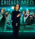 芝加哥急救 第十一季